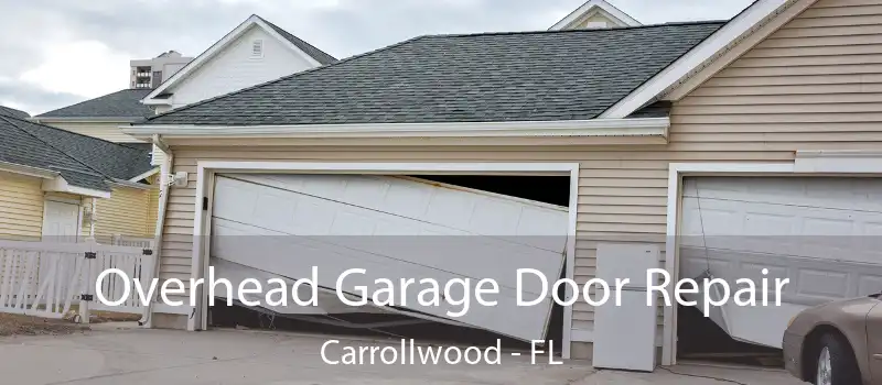  Overhead Garage Door Repair Carrollwood - FL