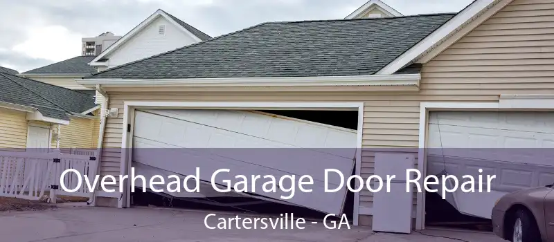  Overhead Garage Door Repair Cartersville - GA