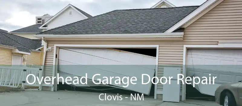  Overhead Garage Door Repair Clovis - NM