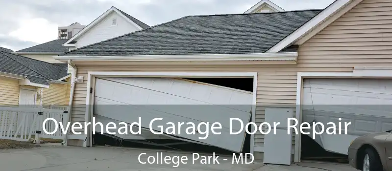  Overhead Garage Door Repair College Park - MD