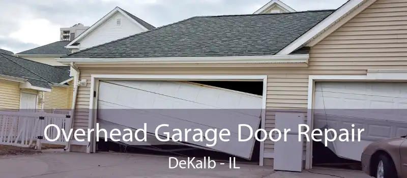  Overhead Garage Door Repair DeKalb - IL