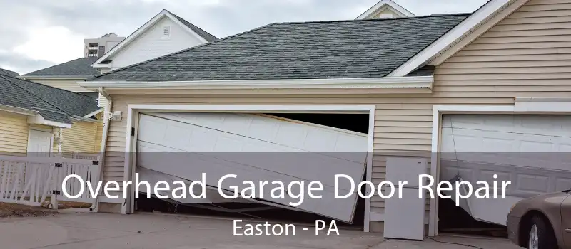  Overhead Garage Door Repair Easton - PA