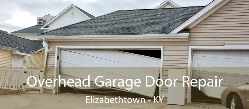  Overhead Garage Door Repair Elizabethtown - KY