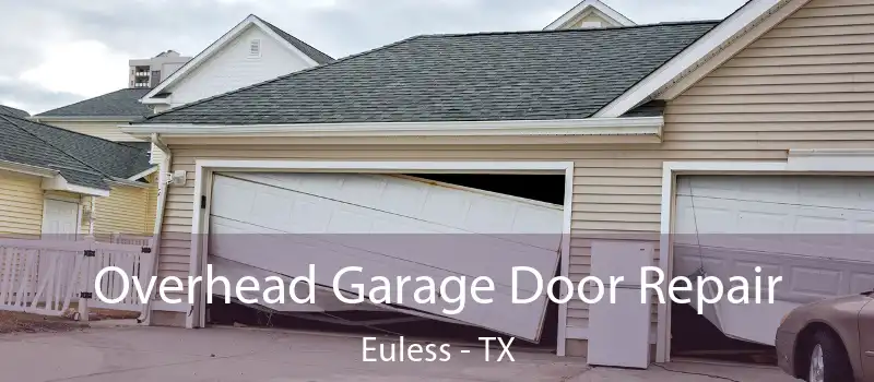 Overhead Garage Door Repair Euless - TX