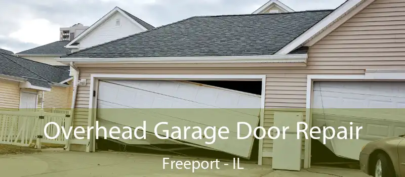  Overhead Garage Door Repair Freeport - IL