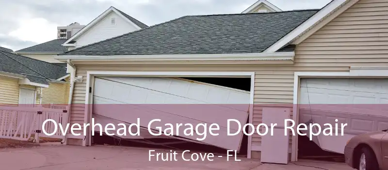  Overhead Garage Door Repair Fruit Cove - FL