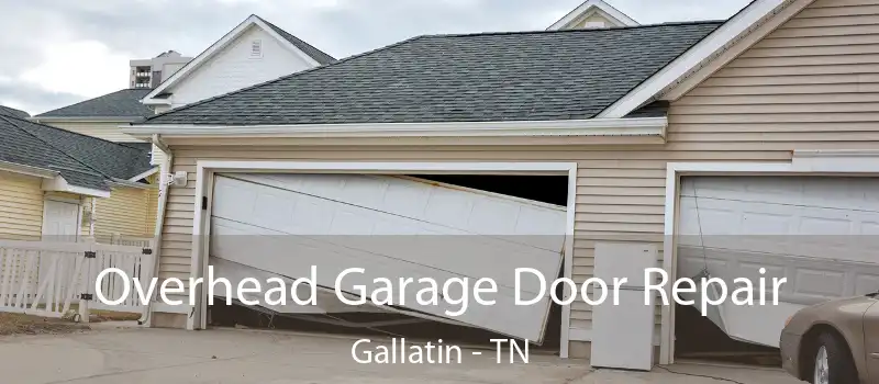  Overhead Garage Door Repair Gallatin - TN