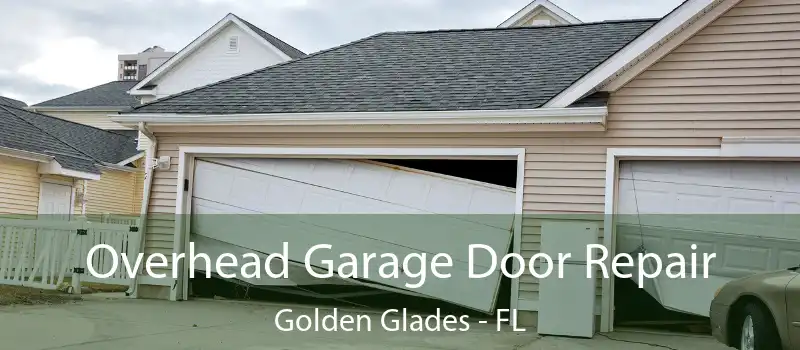  Overhead Garage Door Repair Golden Glades - FL