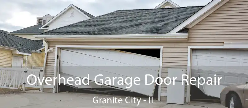 Overhead Garage Door Repair Granite City - IL