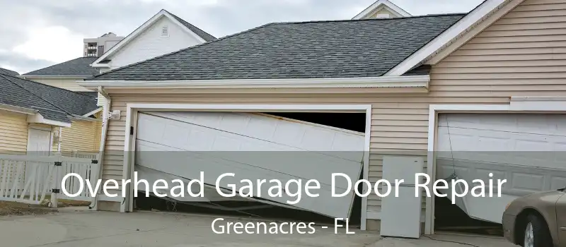 Overhead Garage Door Repair Greenacres - FL