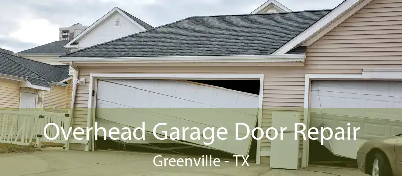  Overhead Garage Door Repair Greenville - TX