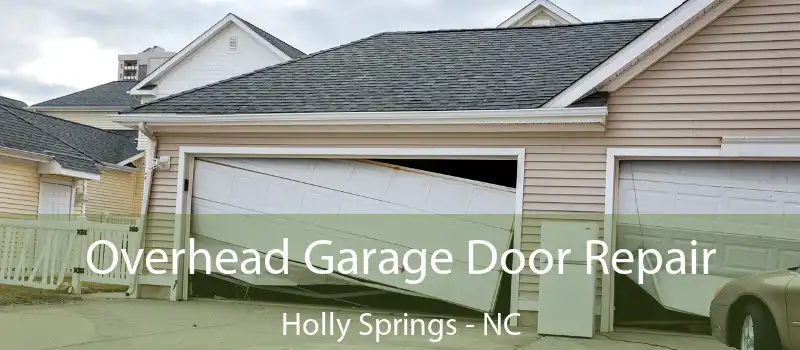  Overhead Garage Door Repair Holly Springs - NC