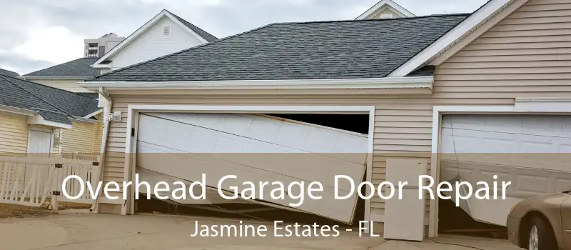  Overhead Garage Door Repair Jasmine Estates - FL