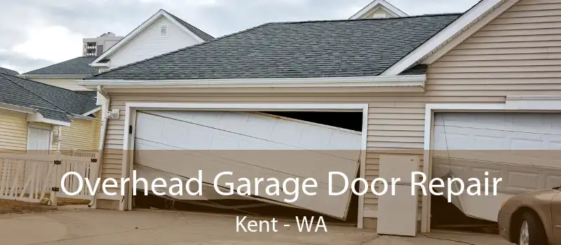  Overhead Garage Door Repair Kent - WA