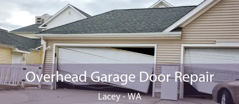 Overhead Garage Door Repair Lacey - WA