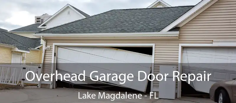  Overhead Garage Door Repair Lake Magdalene - FL