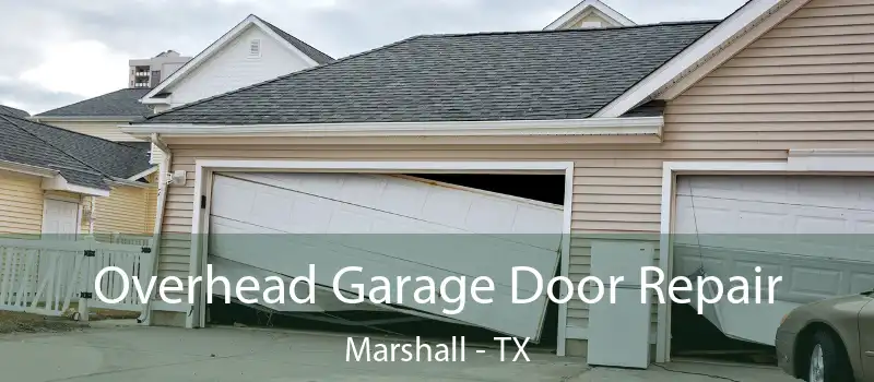  Overhead Garage Door Repair Marshall - TX