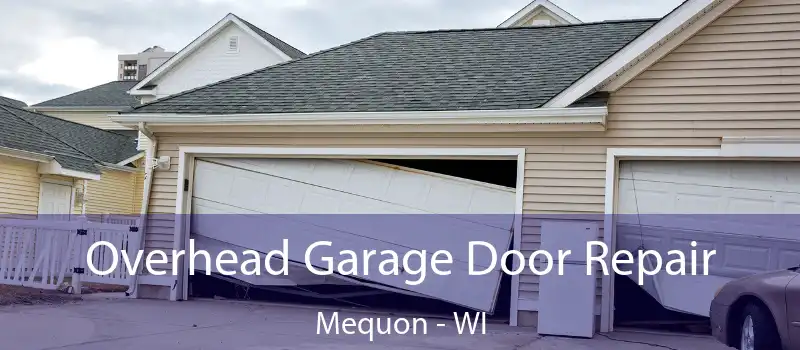  Overhead Garage Door Repair Mequon - WI