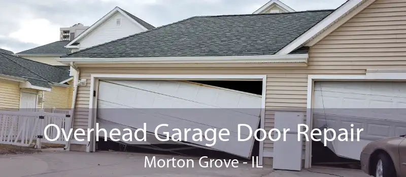  Overhead Garage Door Repair Morton Grove - IL
