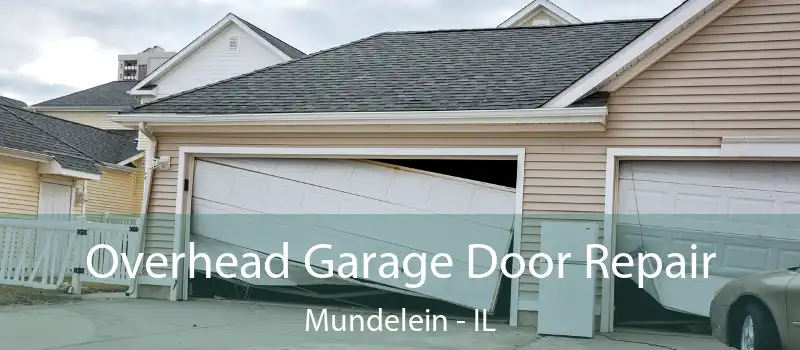  Overhead Garage Door Repair Mundelein - IL