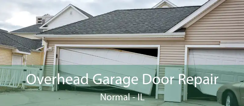  Overhead Garage Door Repair Normal - IL