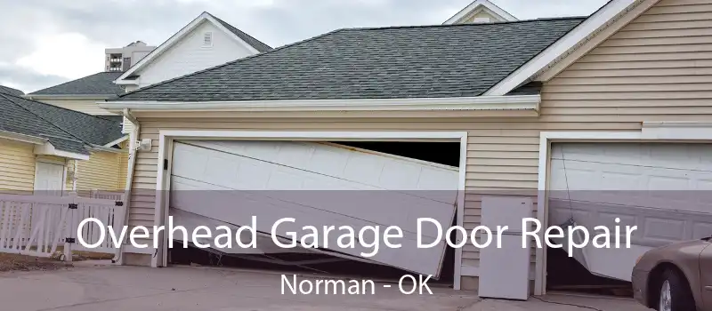  Overhead Garage Door Repair Norman - OK