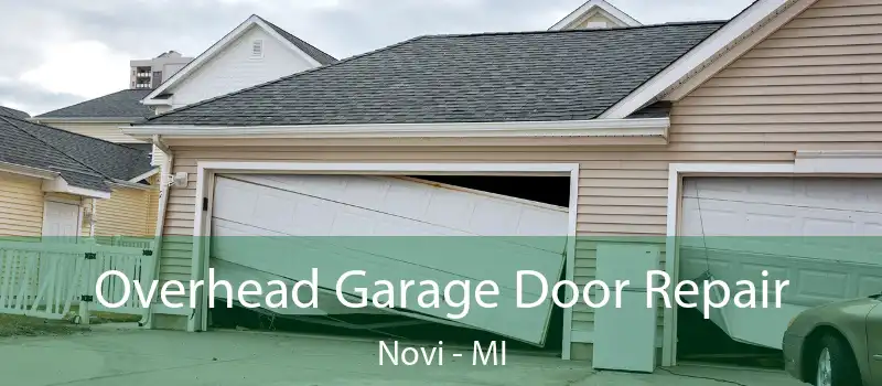  Overhead Garage Door Repair Novi - MI