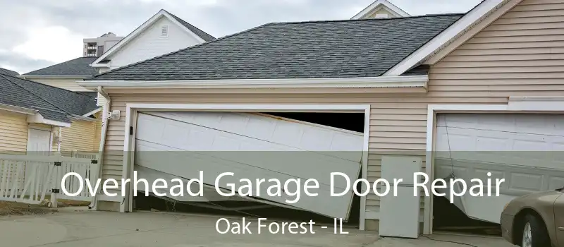  Overhead Garage Door Repair Oak Forest - IL