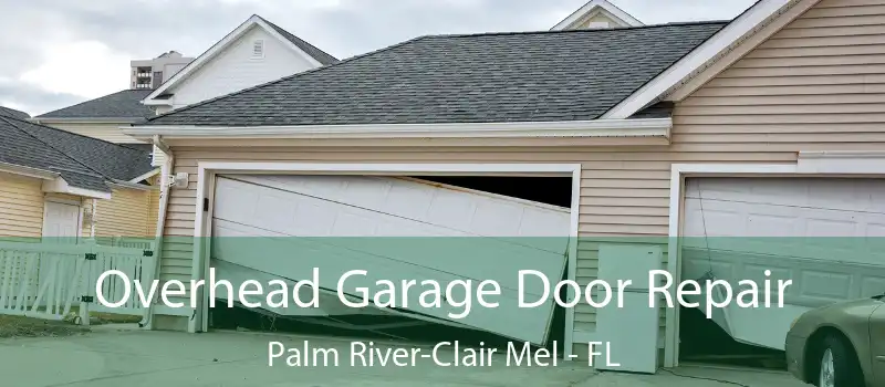  Overhead Garage Door Repair Palm River-Clair Mel - FL