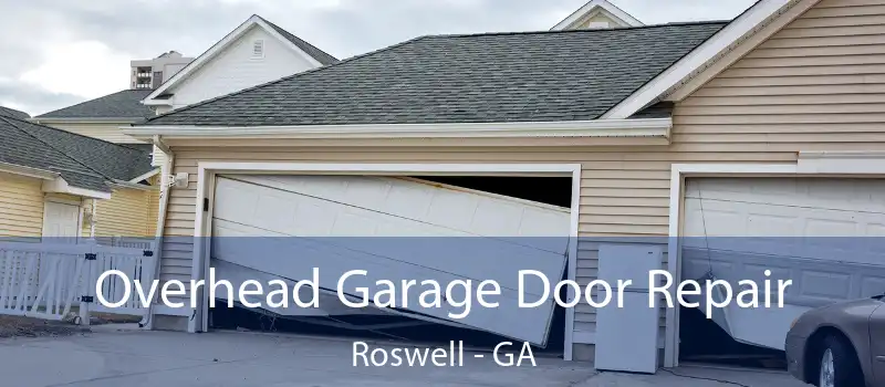  Overhead Garage Door Repair Roswell - GA