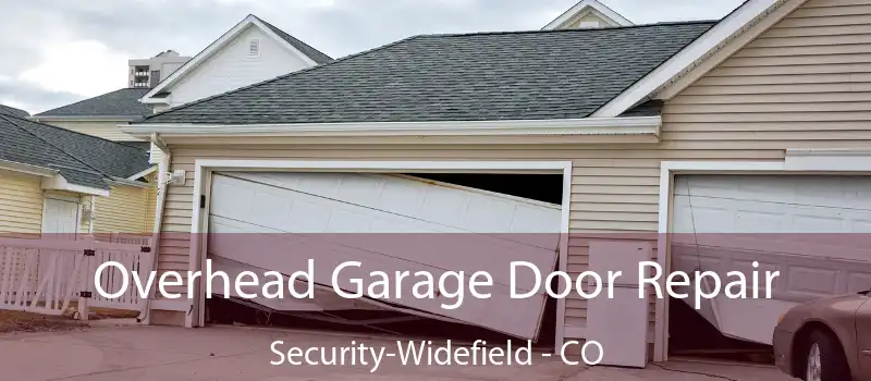  Overhead Garage Door Repair Security-Widefield - CO