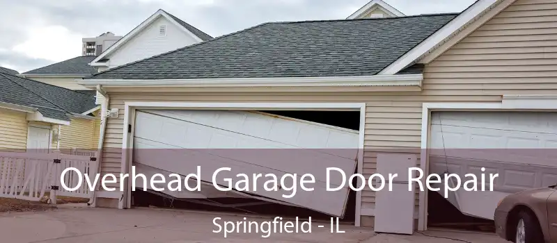  Overhead Garage Door Repair Springfield - IL