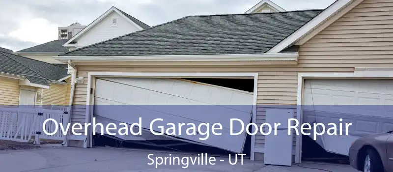  Overhead Garage Door Repair Springville - UT