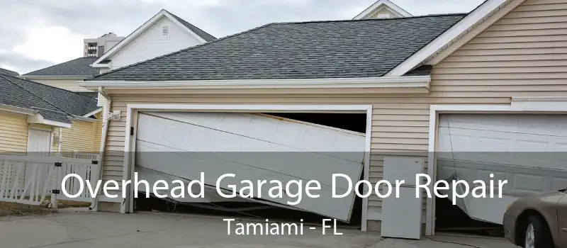  Overhead Garage Door Repair Tamiami - FL