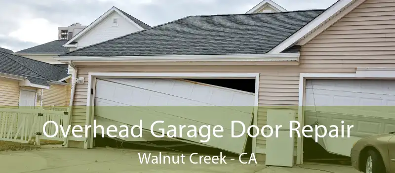 Overhead Garage Door Repair Walnut Creek - CA