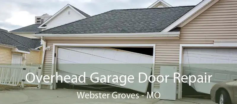  Overhead Garage Door Repair Webster Groves - MO