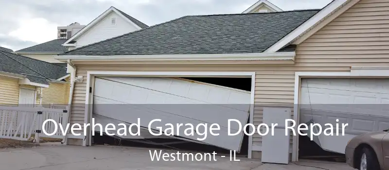 Overhead Garage Door Repair Westmont - IL