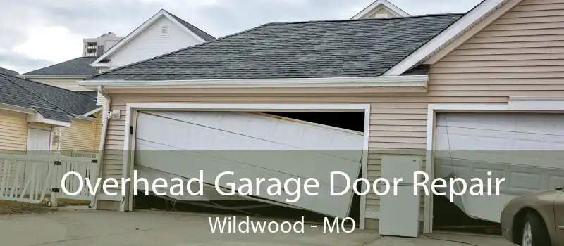  Overhead Garage Door Repair Wildwood - MO