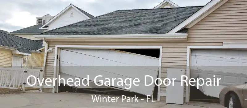  Overhead Garage Door Repair Winter Park - FL
