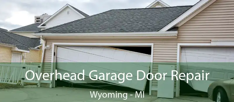 Overhead Garage Door Repair Wyoming - MI