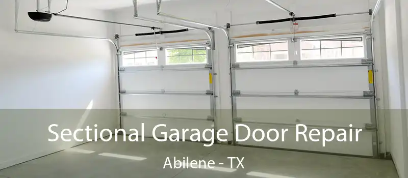  Sectional Garage Door Repair Abilene - TX