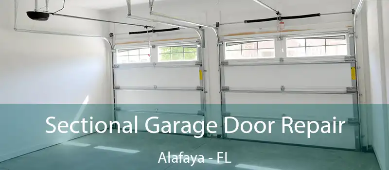 Sectional Garage Door Repair Alafaya - FL