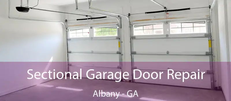 Sectional Garage Door Repair Albany - GA