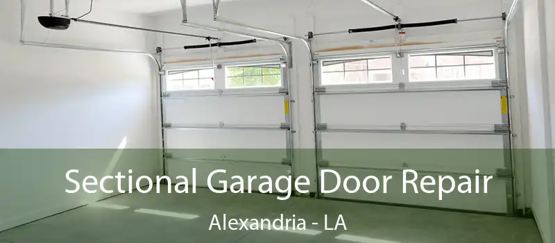  Sectional Garage Door Repair Alexandria - LA