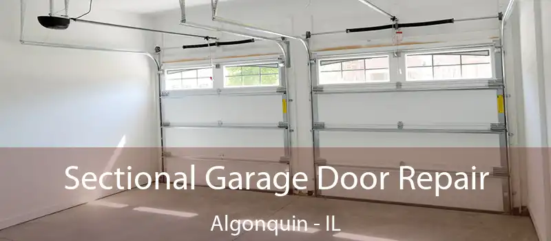 Sectional Garage Door Repair Algonquin - IL
