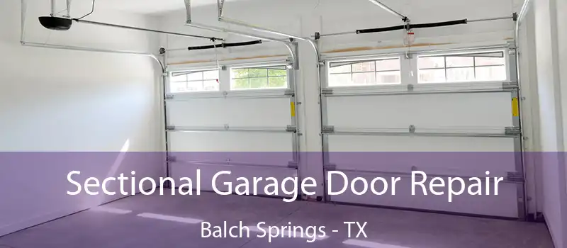  Sectional Garage Door Repair Balch Springs - TX