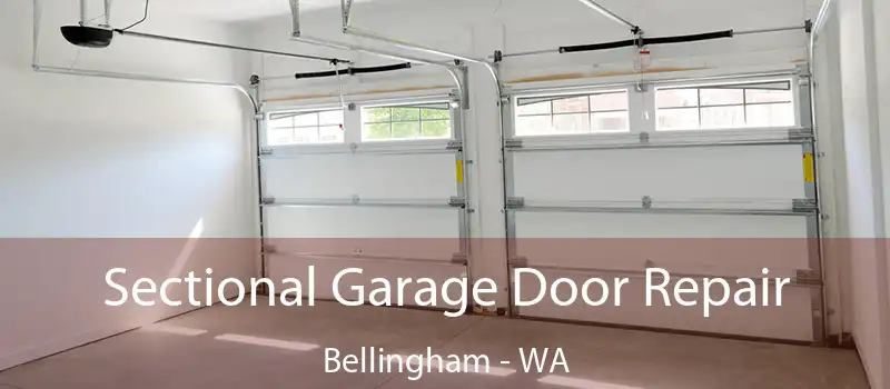 Sectional Garage Door Repair Bellingham - WA