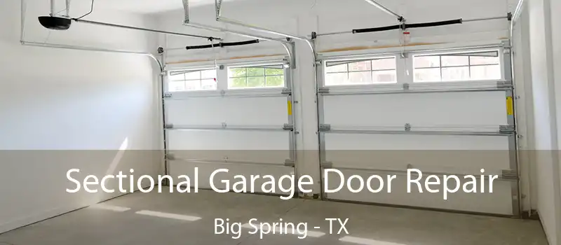  Sectional Garage Door Repair Big Spring - TX