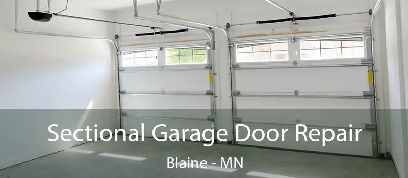  Sectional Garage Door Repair Blaine - MN