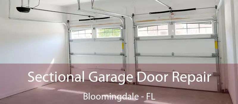 Sectional Garage Door Repair Bloomingdale - FL